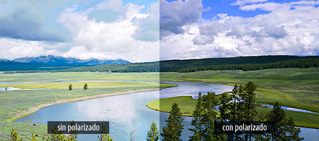 foto-polarizado