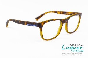 luquervision-660