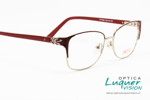 luquervision-752